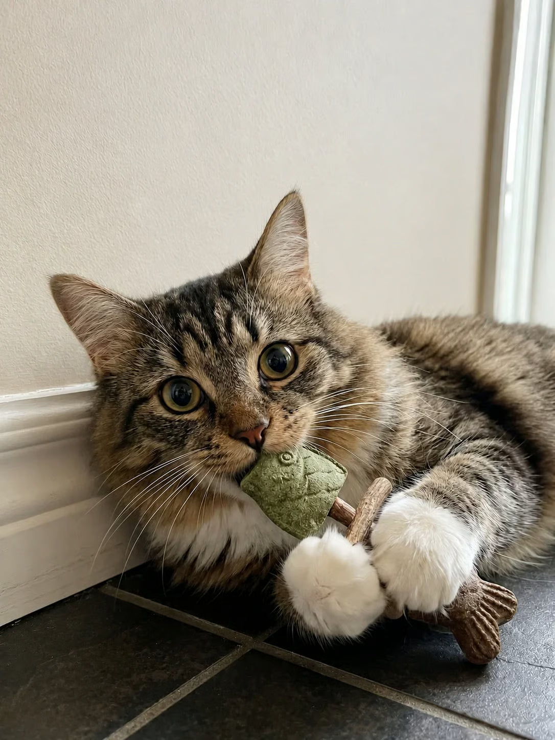 Catnip & Silvervine Chew