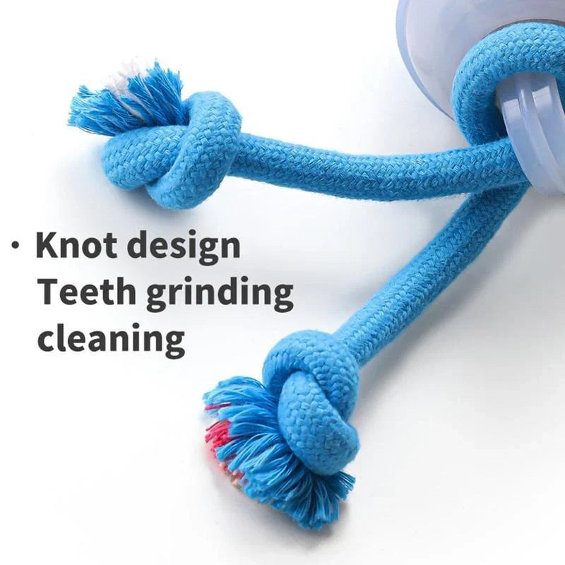 Smart Dog Toy Ball
