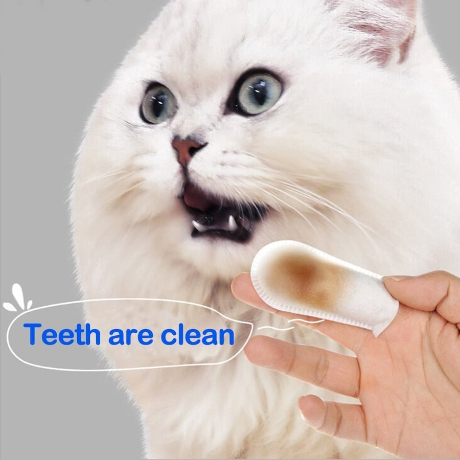 FurEver Fresh™ Gentle Dental Care