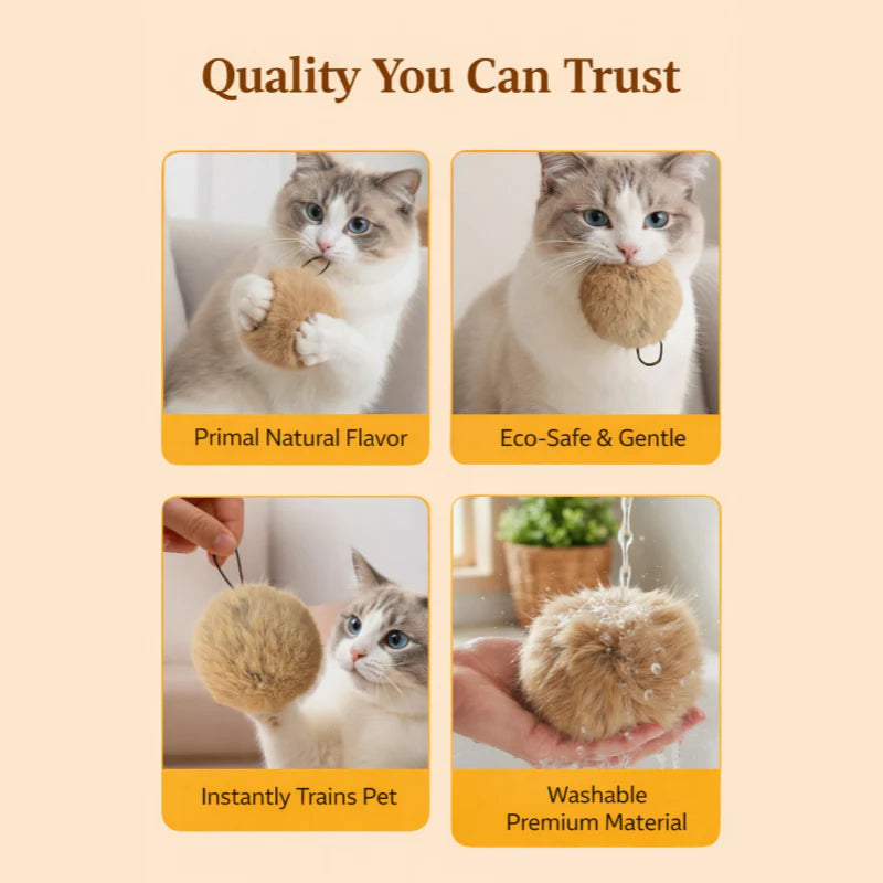 Soft Fluffy Cat Toy Ball