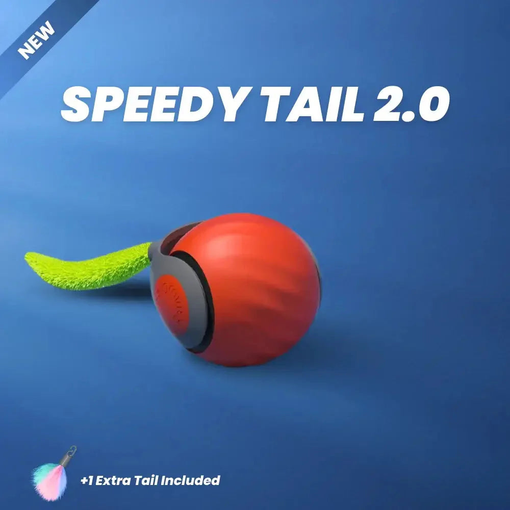 Interactive Rechargeable Cat Toy Ball
