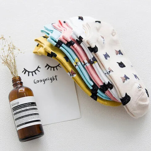 Little Cat Face Socks Set