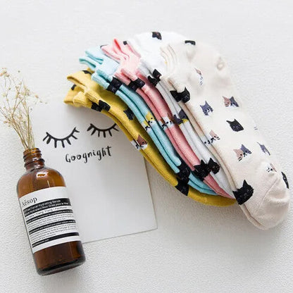 Little Cat Face Socks Set