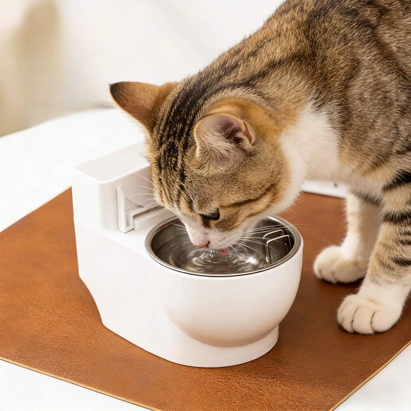 AquaLoo™ Pet Fountain Bowl