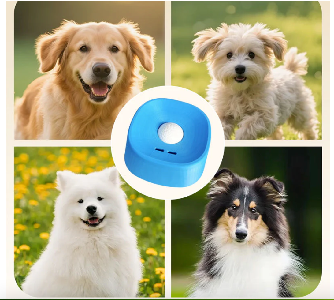 Anti-gulping bowl for dogs with rolling ball