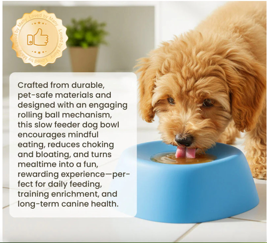 Anti-gulping bowl for dogs with rolling ball