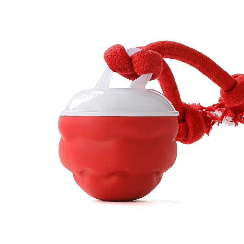 Smart Dog Toy Ball