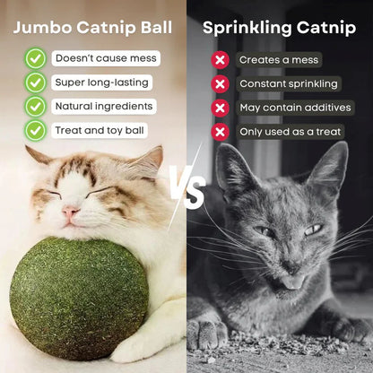 Meownip™