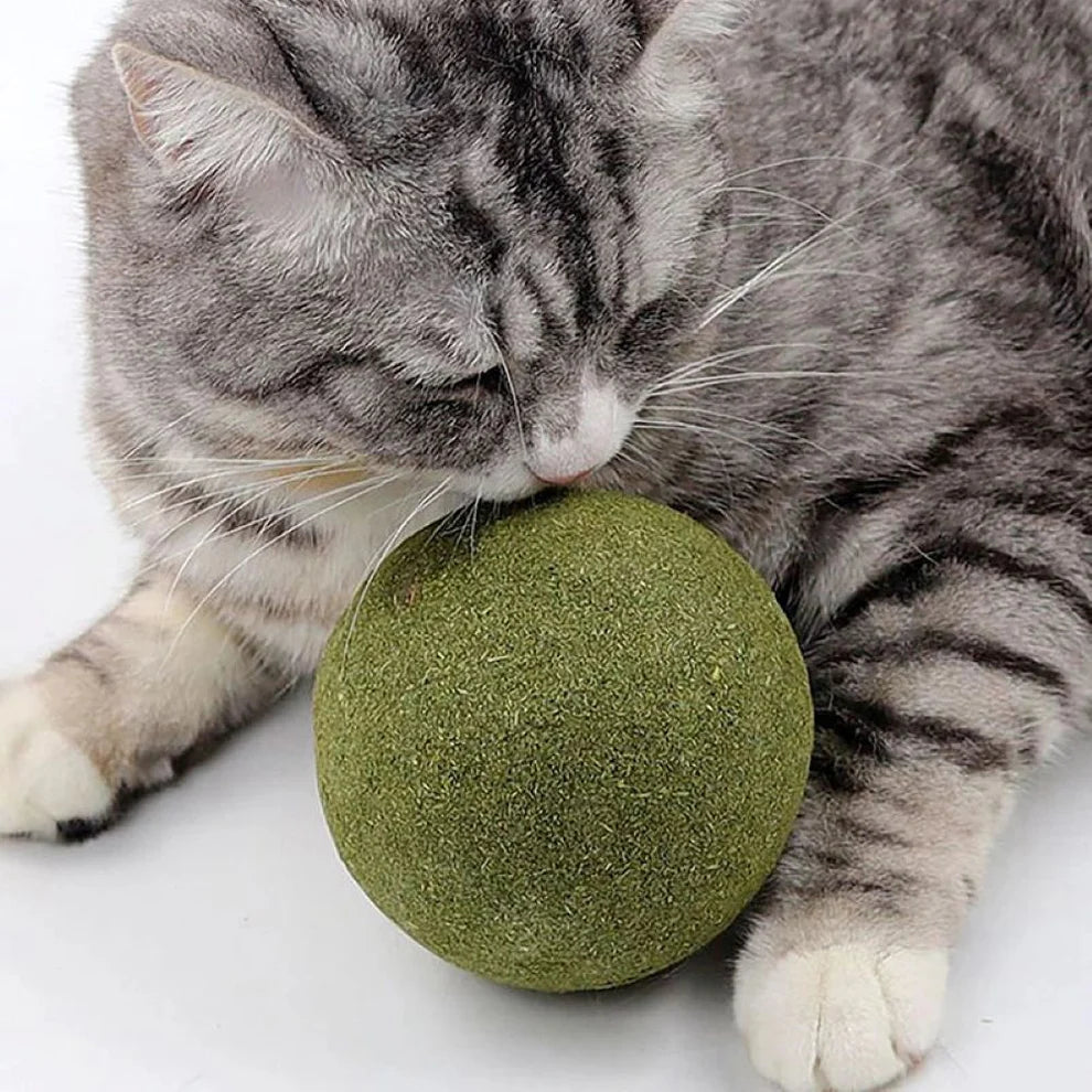 Meownip™