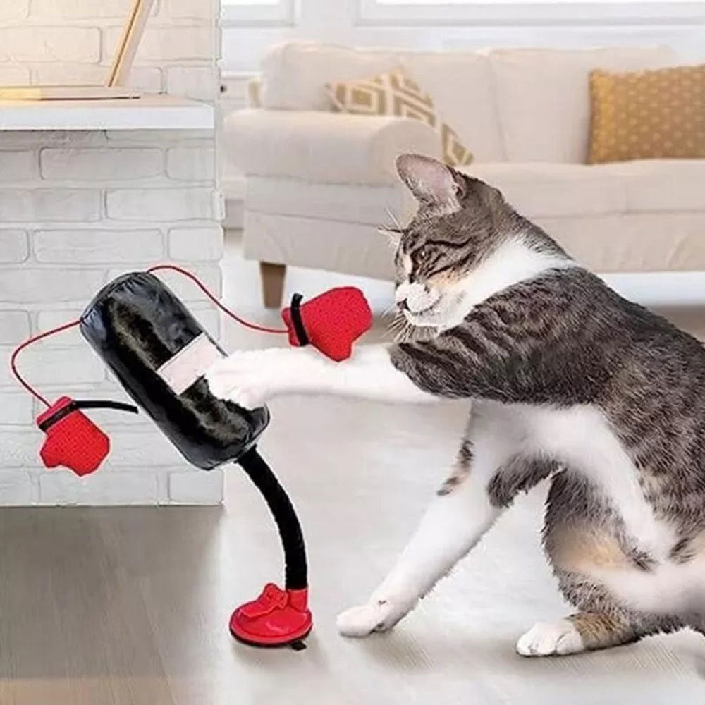 Interactive Cat Punching Bag Toy
