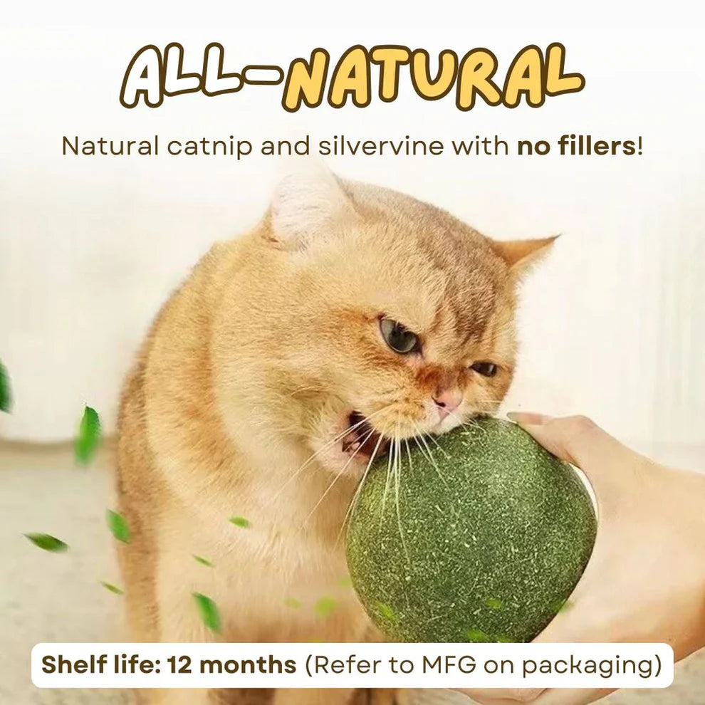 Meownip™