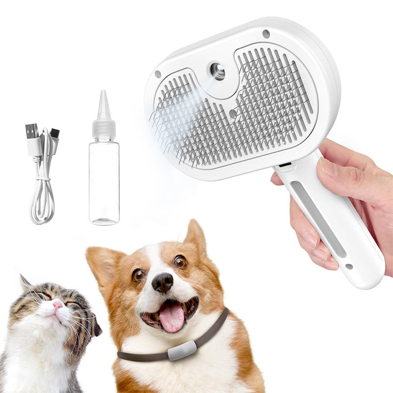 Mist Massage Brush
