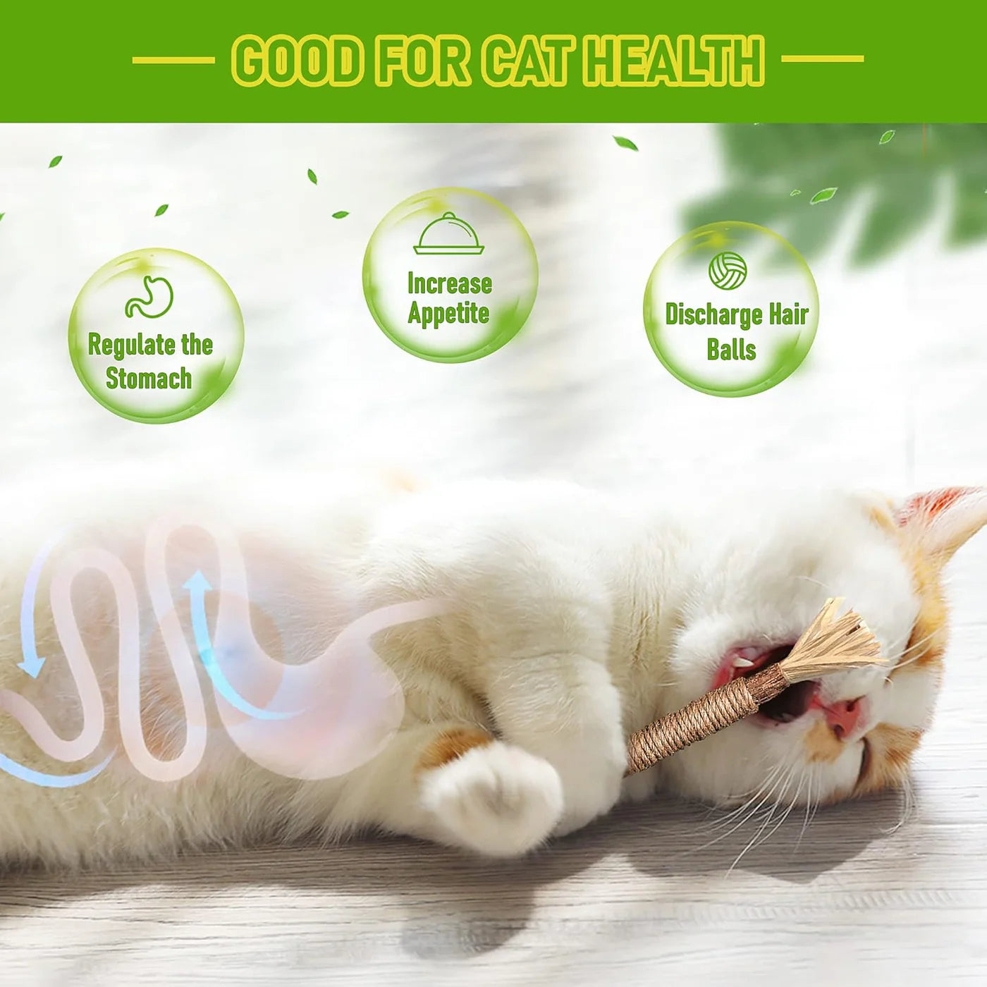 Natural Silvervine Chew Sticks – Organic Dental Treats for Cats
