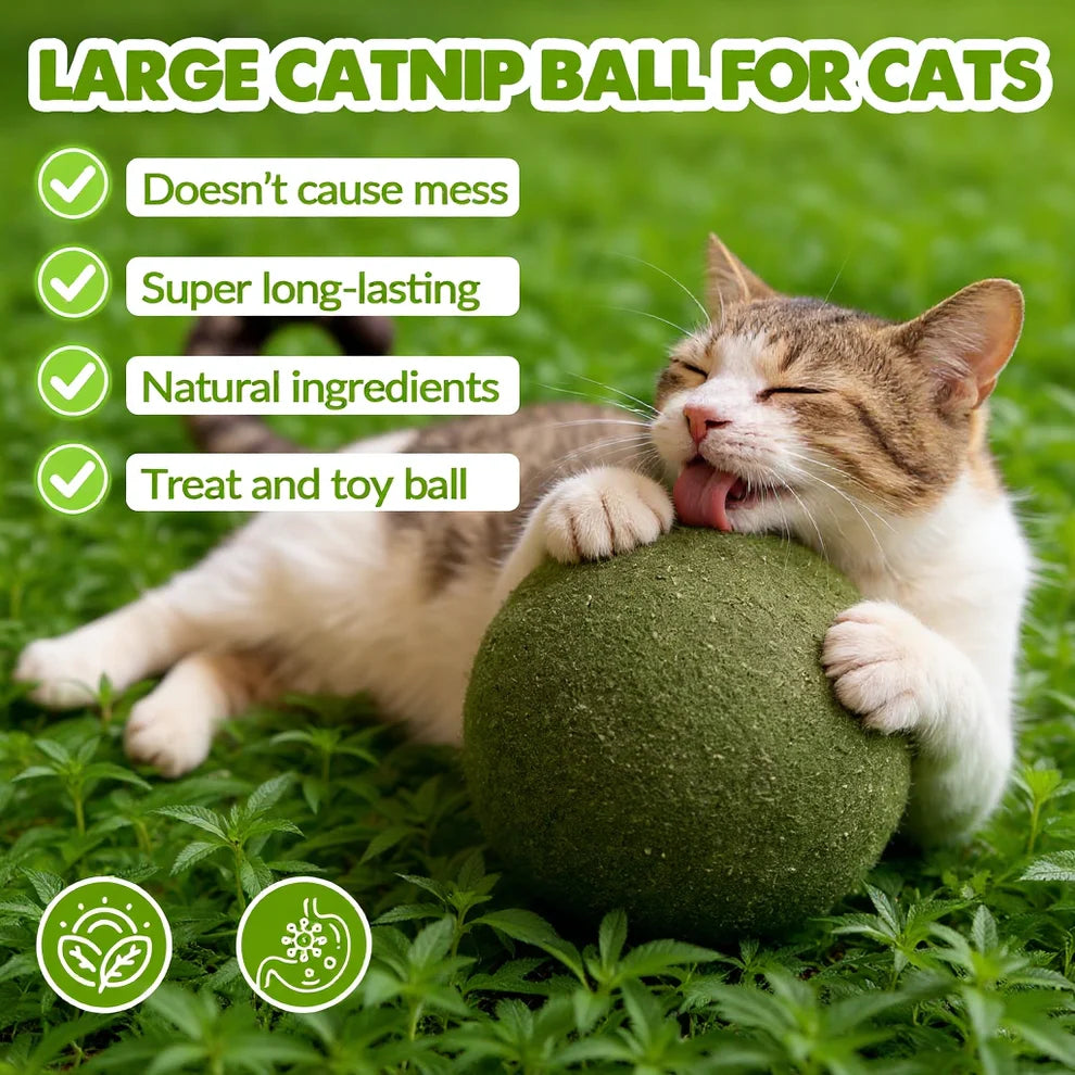Meownip™