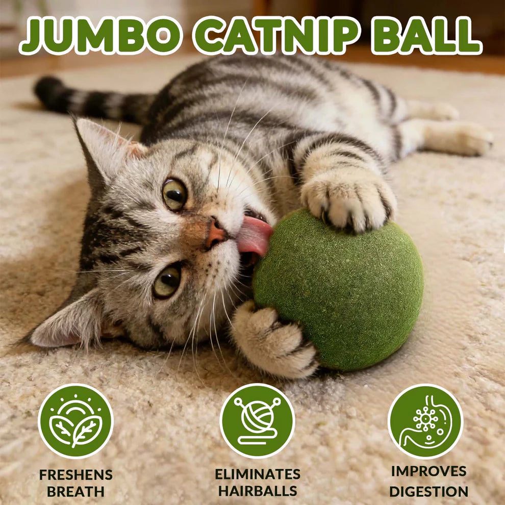 Meownip™