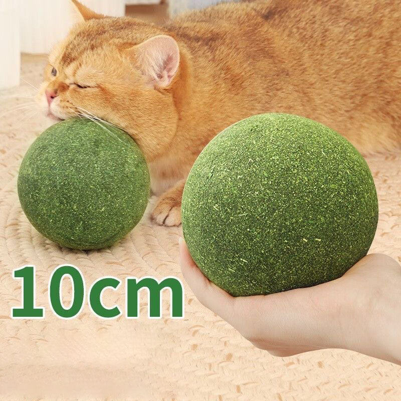 Meownip™