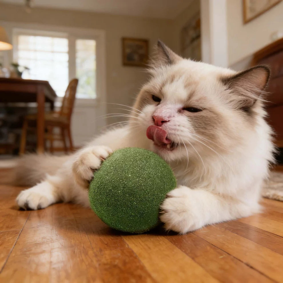 Meownip™
