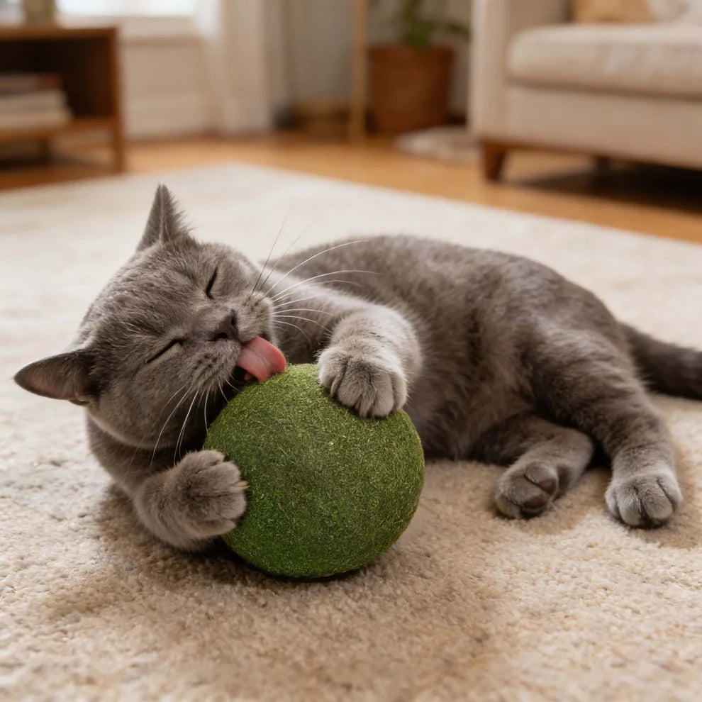Meownip™