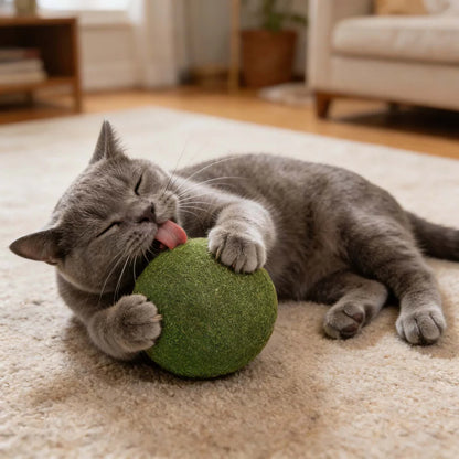 Meownip™