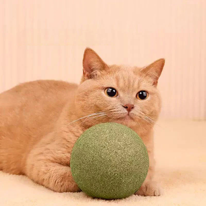 Meownip™
