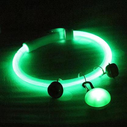 LED Dog Safety Collar