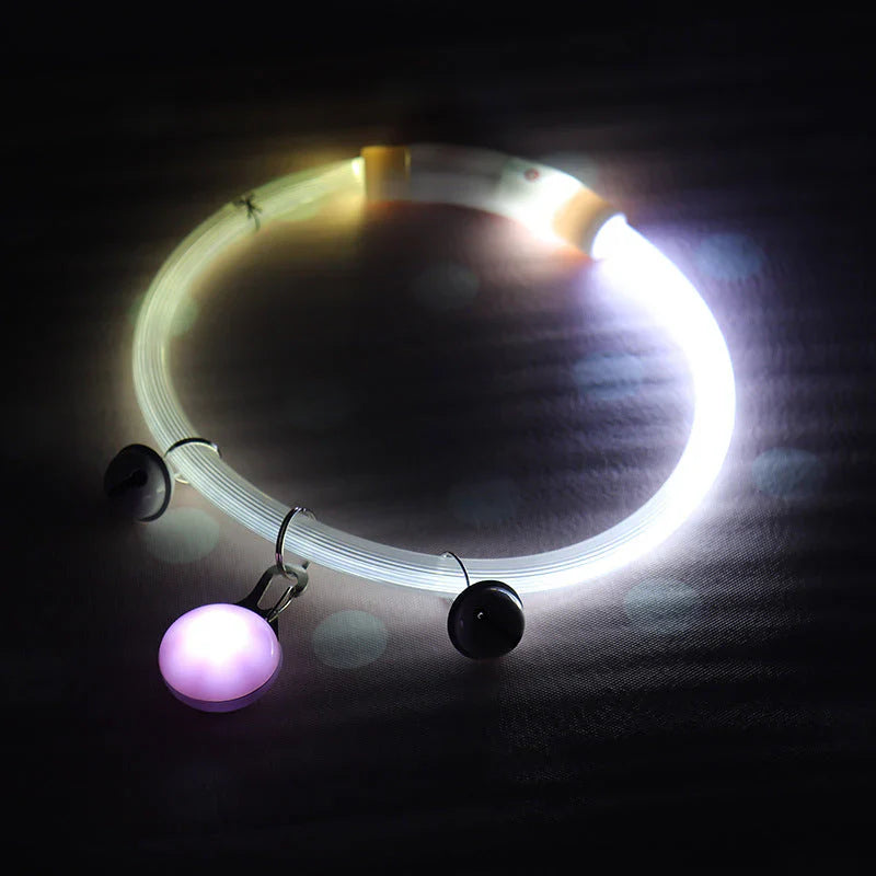 LED Dog Safety Collar