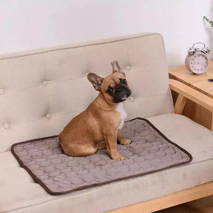 PupChill™