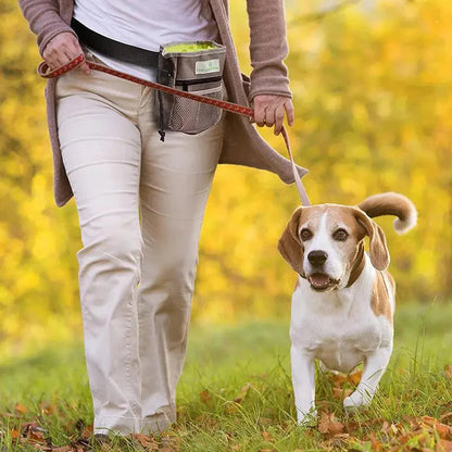 Portable Dog Training Waist Bag – Outdoor Treat Snack Pouch for Rewards & Feeding
