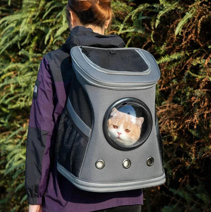 Cat Bubble Backpack