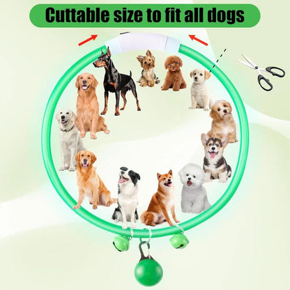 LED Dog Safety Collar