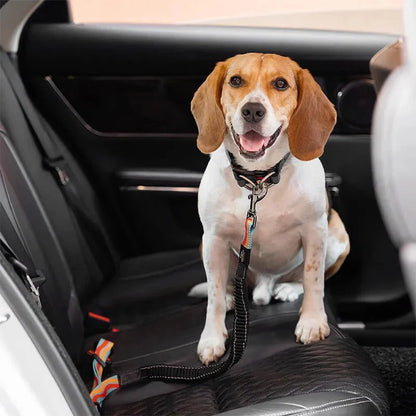 Dog Car Seat Belt