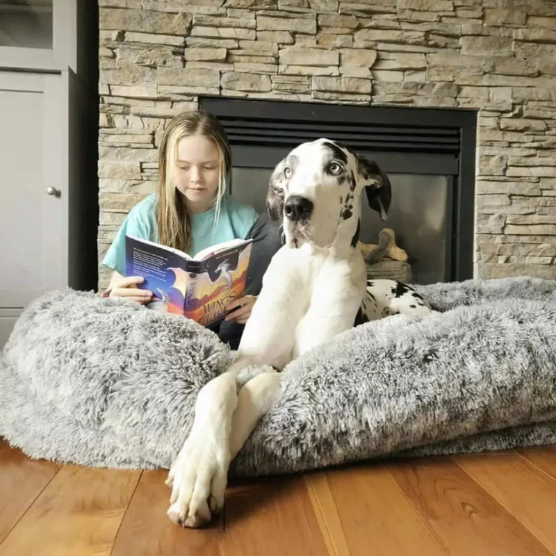 Human Dog Bed