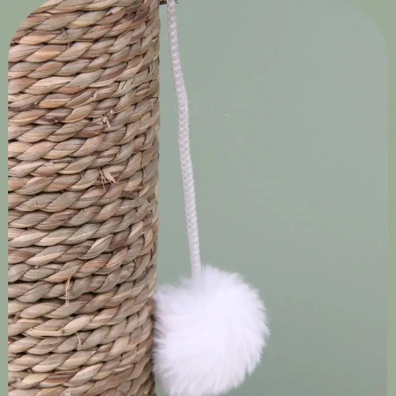 Cactus Cat Scratcher
