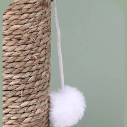 Cactus Cat Scratcher
