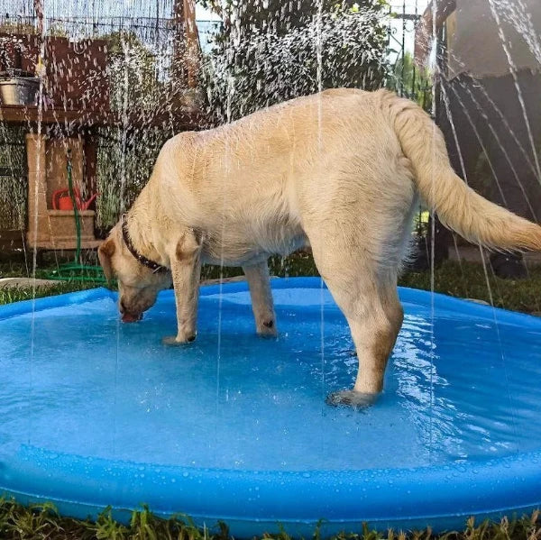 Dog Splash Pad