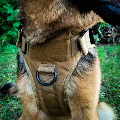 Tactical Dog Harness