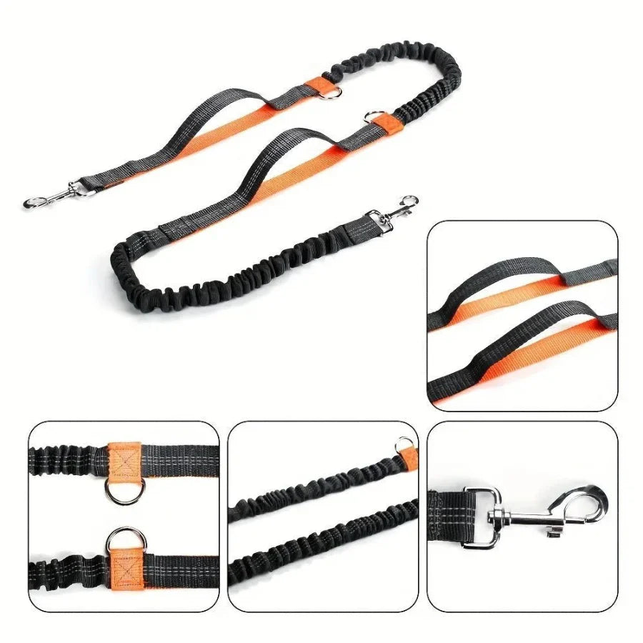 Hands Free Dog Leash for Running