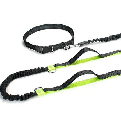 Hands Free Dog Leash for Running