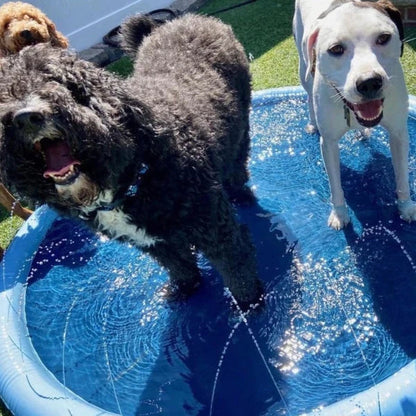 Dog Splash Pad