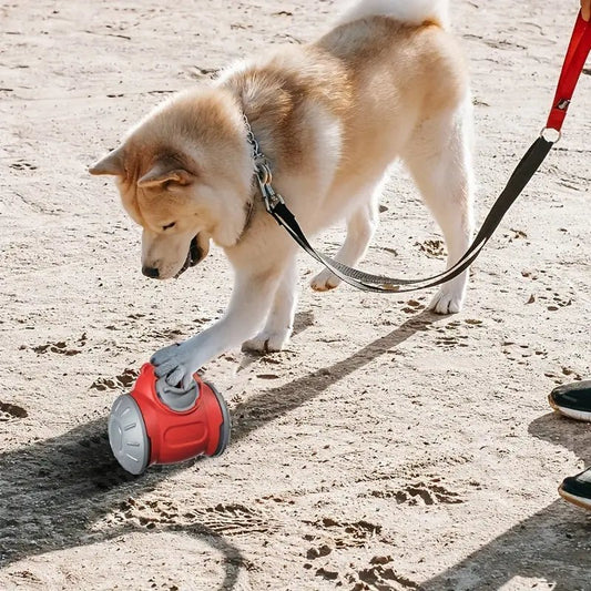 Dog Treat Dispenser Toy