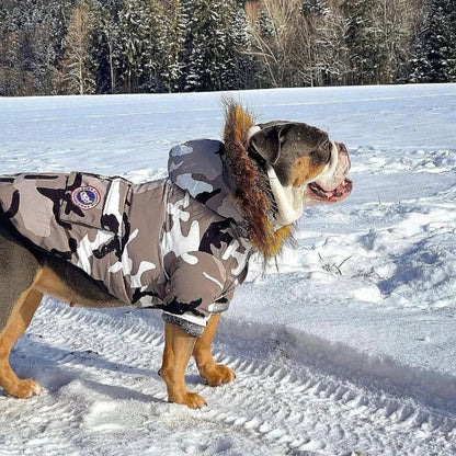 Dog Winter Jacket