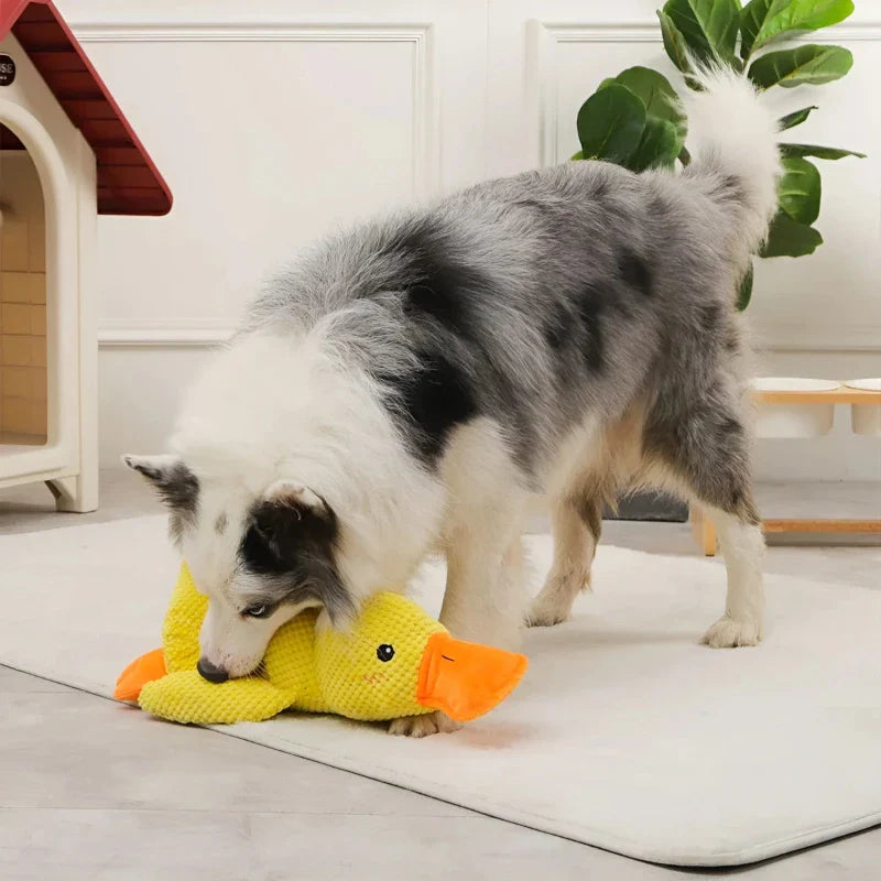 Duck Dog Toy