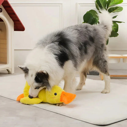 Duck Dog Toy