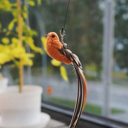 Interactive Bird Cat Toy