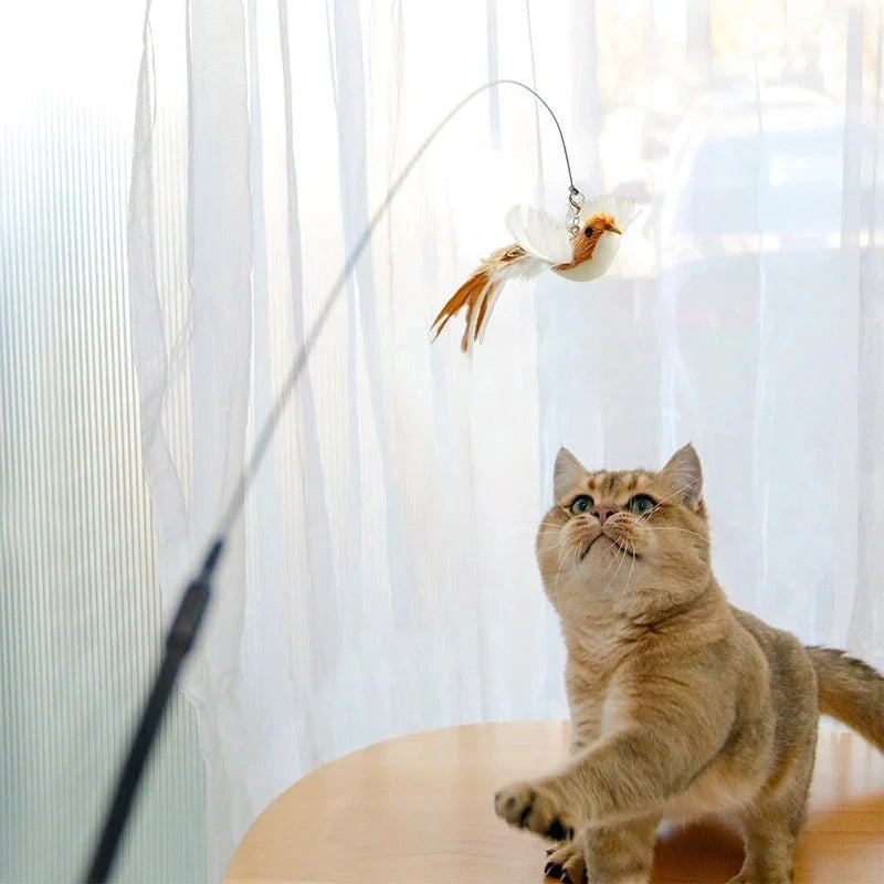 Interactive Bird Cat Toy