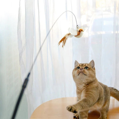 Interactive Bird Cat Toy