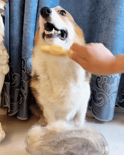 Self-cleaning Pet Flea Comb Grooming Brush