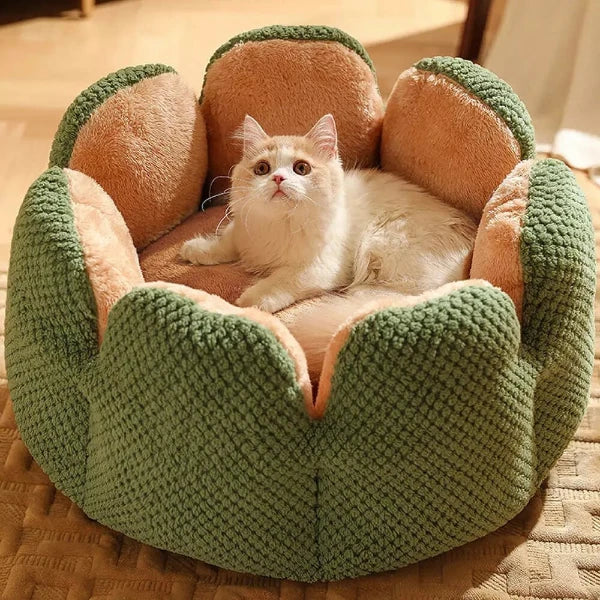 Cactus Pet Bed