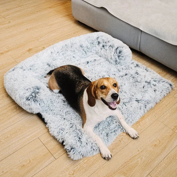 Dog Couch Bed