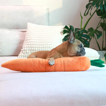 Carrot Dog Toy